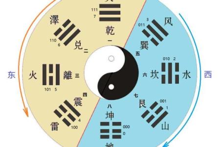 琳的五行属性揭秘与分析