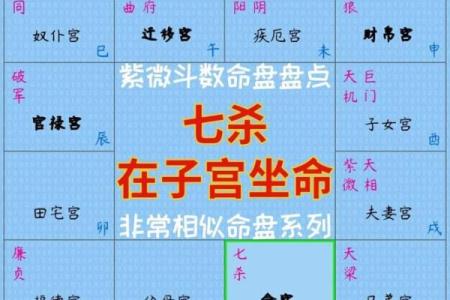 在线紫薇排盘如何帮助你规划人生重大决策