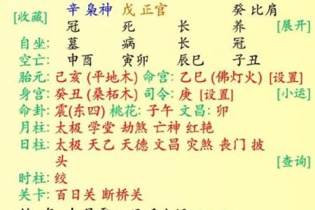 八字格局解析：如何通过八字看个人命运走向