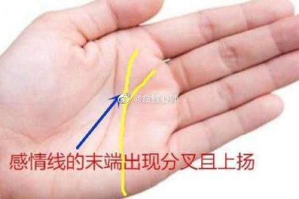 玄空飞星如何影响婚姻与感情运势
