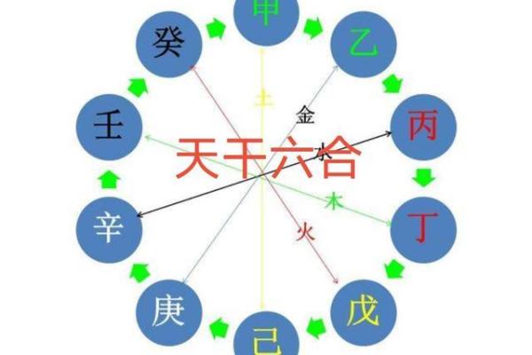 天干与生肖配合对命理的深远影响