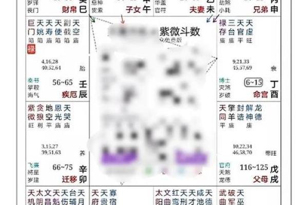 紫微斗数的命盘与人生的重大选择