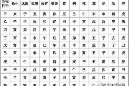 天干与生肖配合对命理的深远影响