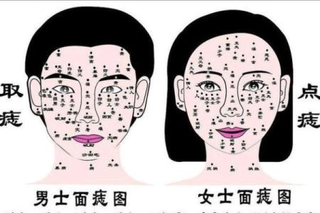 解析痣相车：如何通过面相学判断你的命运走向