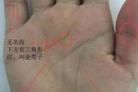 透过老板命手相，了解如何提升职场运势