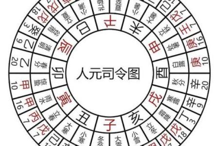 八字木多的女人性格特征与命运解析