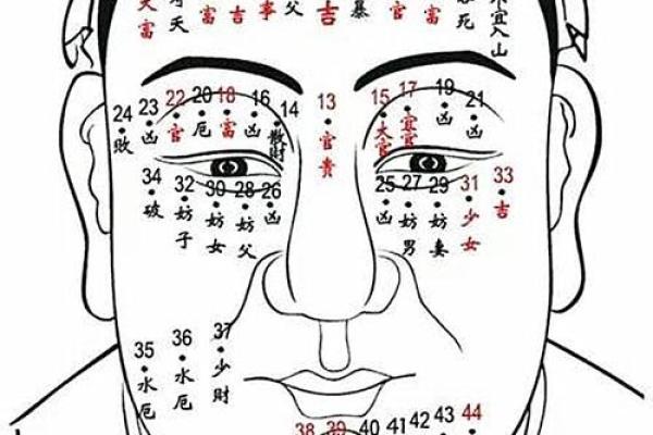 过三关痣相与事业成功：面相上的潜在信息