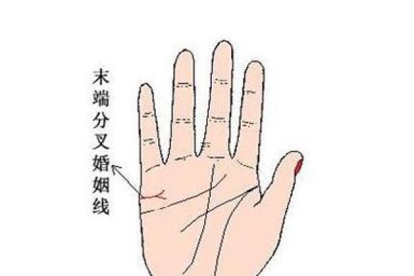 面相学中的自私特征与情感表现
