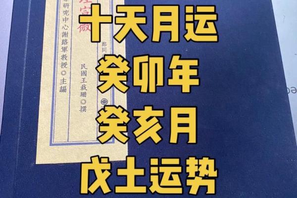 八字命理自学视频全集，助你轻松解读人生运势
