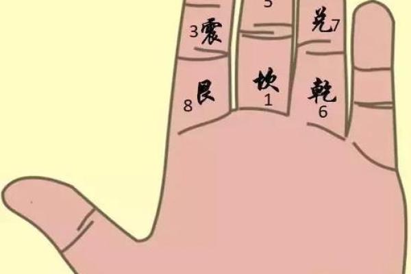 学会六壬排盘技巧，准确预测健康运