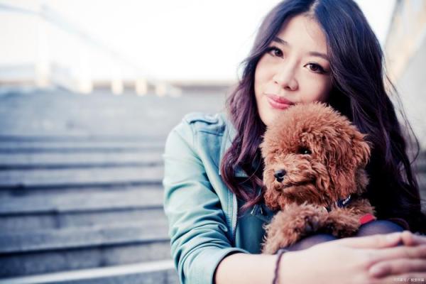 犬类婚姻配对的秘诀：帮助狗狗找到心仪的伴侣