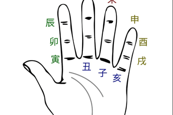 六壬排盘入门指南：快速掌握核心技巧