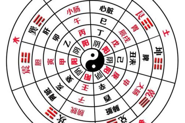 天干地支怎么算？教你轻松掌握年月日天干的推算方法