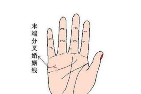 面相学中的自私特征与情感表现