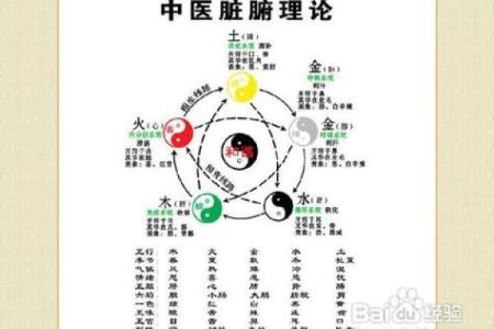 朔字在五行中属于什么属性解析