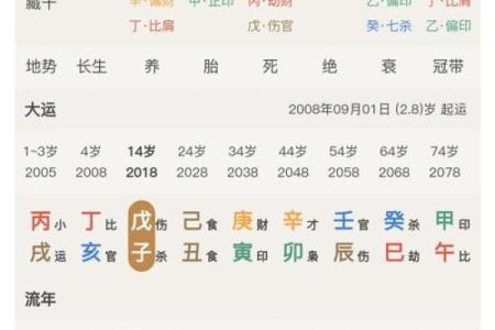 干支排盘解析：如何通过八字看人生轨迹与运势变化