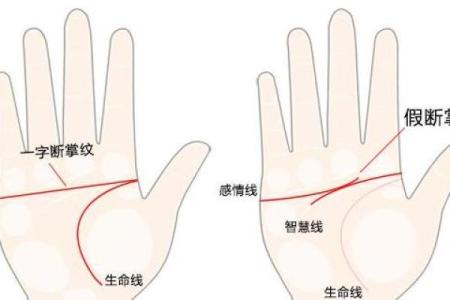 解密玉字纹手相：揭示命运与个性的独特标志