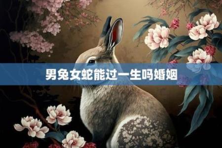 男兔女鸡的婚姻关系如何：优缺点解析