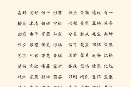 国学起名公司如何帮助宝宝取一个有文化底蕴的名字