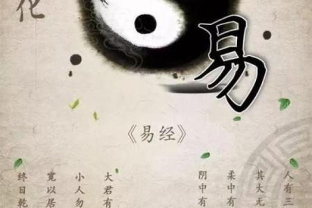 六爻占卜的深奥理论与实践运用
