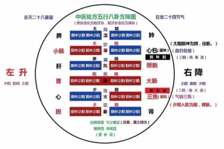 五行八卦的深层次关系与人生运势解析