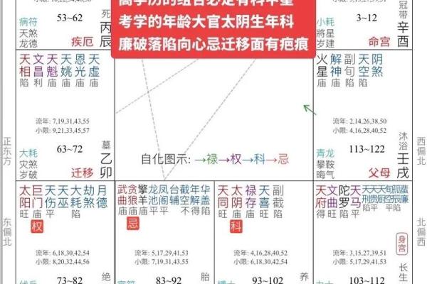 紫微斗数与传统命理的异同