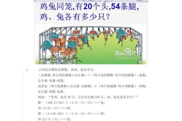 男兔女鸡配对解析：婚姻中的默契与挑战