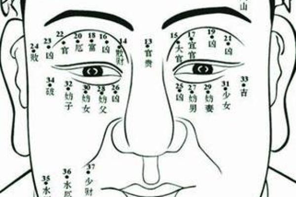 解读面部痣相：痣的位置与命运的微妙关系