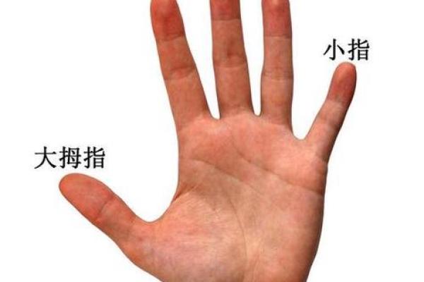 新生儿手相图解：如何通过手掌了解宝宝的特点