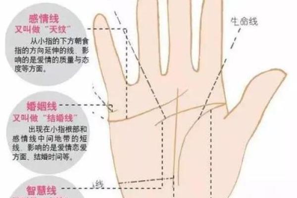 新生儿手相图解：如何通过手掌了解宝宝的特点