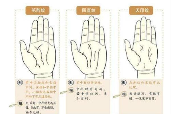 鹿晗手相解读：隐藏在掌心的星座玄机