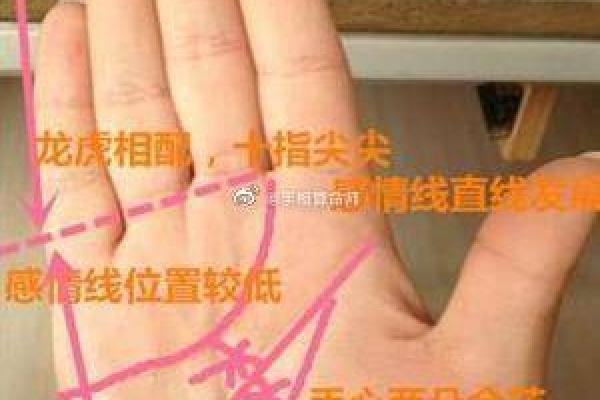 鹿晗手相解读：隐藏在掌心的星座玄机