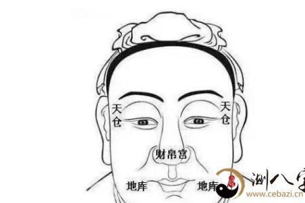 鼻子在面相学中的重要性：影响健康、财运与情感