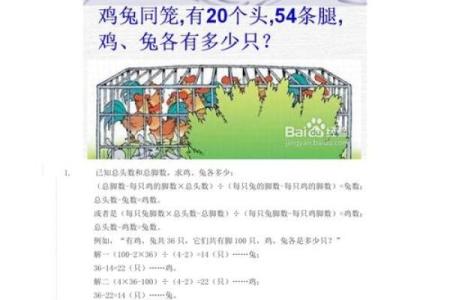 男兔女鸡配对解析：婚姻中的默契与挑战