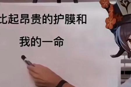 解析“是贵命”背后的深意与文化内涵
