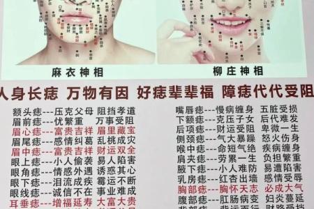 相征学中痣的含义与影响力解析