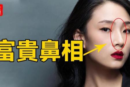 鼻子在面相学中的重要性：影响健康、财运与情感