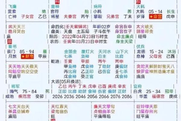 想知道自己未来吗？试试紫微免费排盘分析