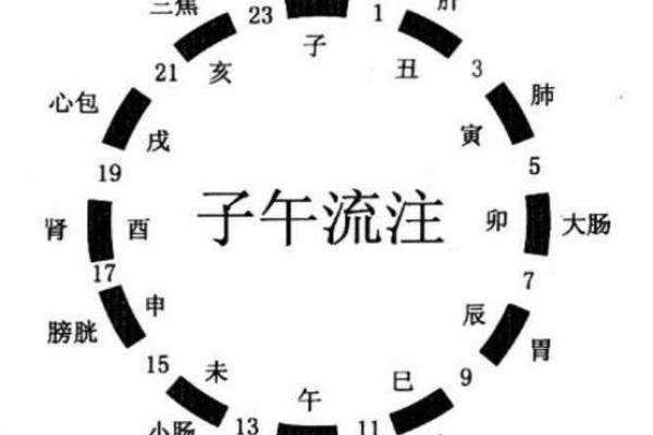 掌握天干知识，揭示个人命运的潜在规律