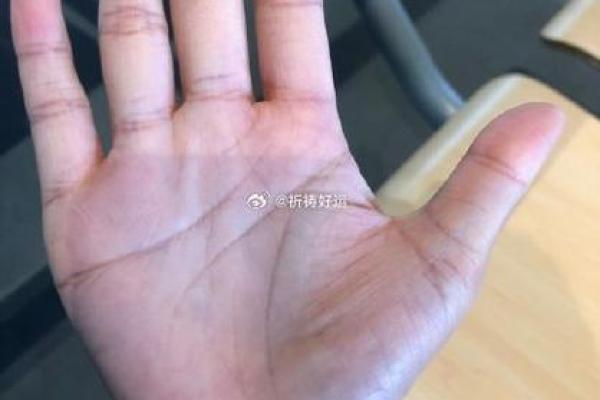 手相看结婚时机，揭示婚姻运势的秘密