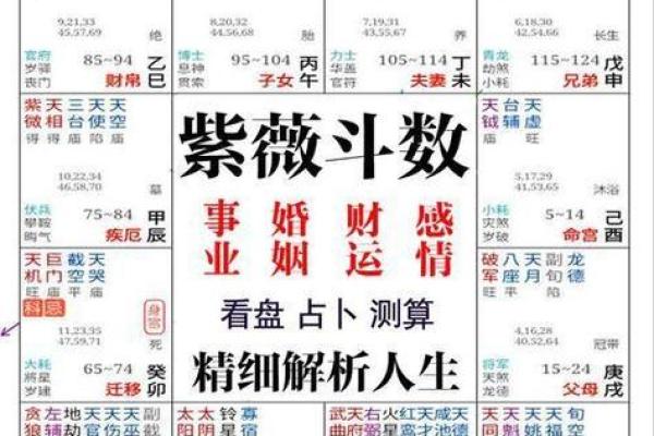 八字命理如何预测你的财运走向