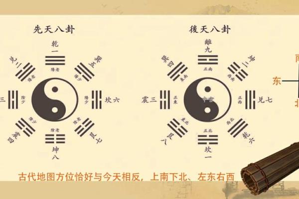 阳五行属什么解析与探讨