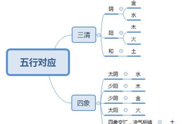 阳五行属什么解析与探讨