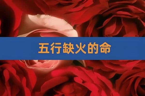 五行属火的命运解析