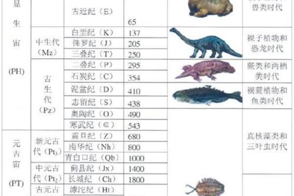 天干地支与地质演化的历史交织