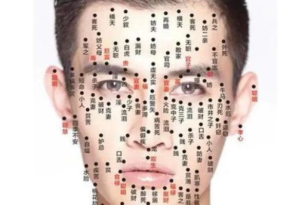 项痣相与命运：从项部痣的位置看人生运程