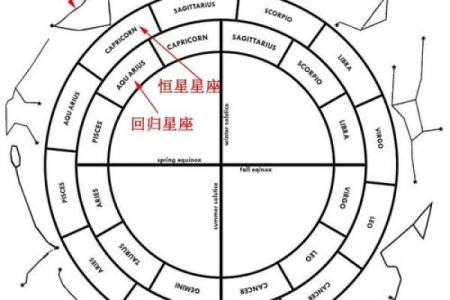 新浪排盘分析技巧：从星座角度看人生运势
