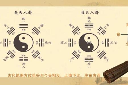 阳五行属什么解析与探讨