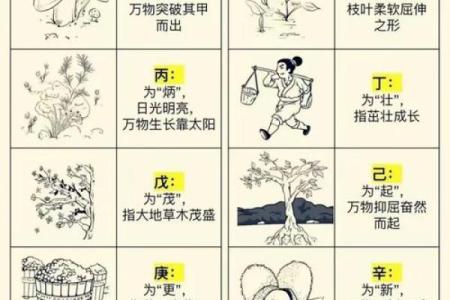 了解天干地支的含义与年份运势