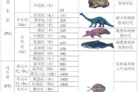 天干地支与地质演化的历史交织
